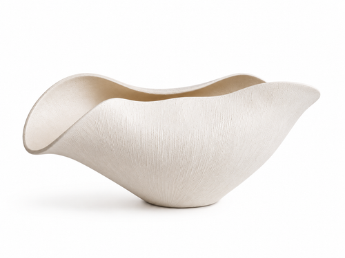 the shell  | 46cm x 14cm
