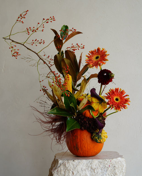 [HALLOWEEN] RE-EDITION