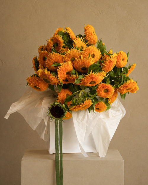 Send Flowers