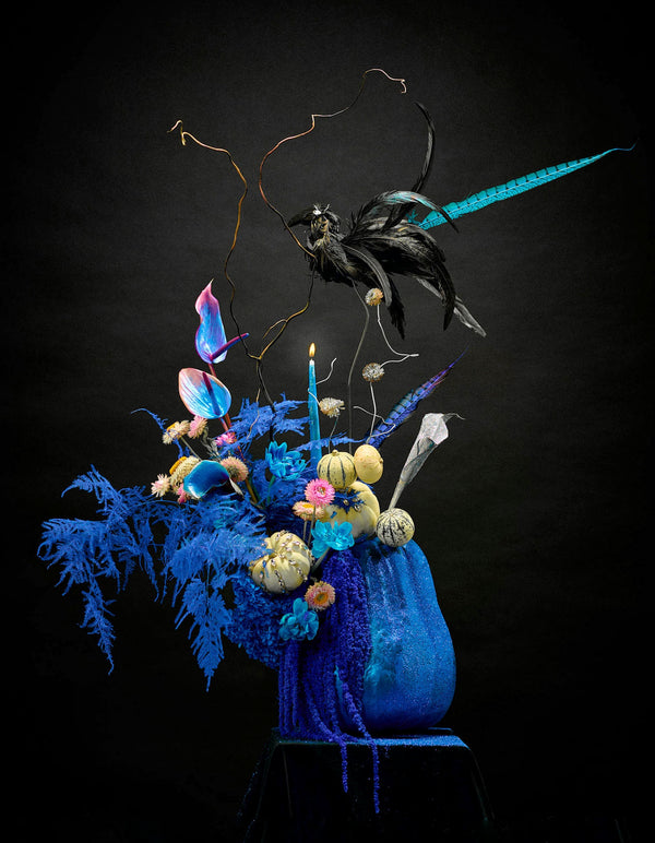 nocturne packaging